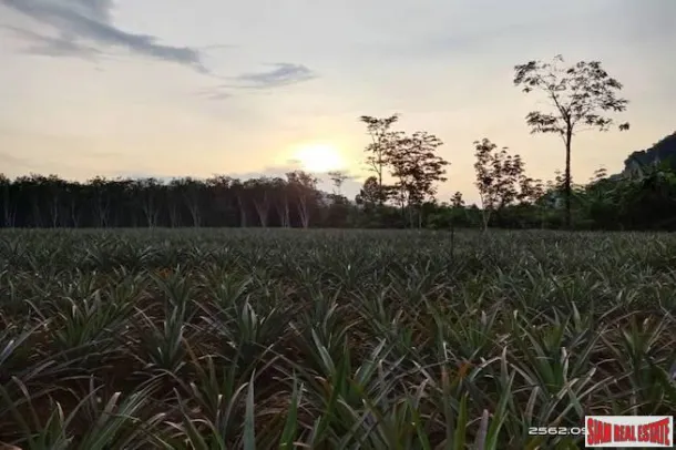 One Rai Square Shape Flat Land for Sale in Ao Nang, Krabi 2
