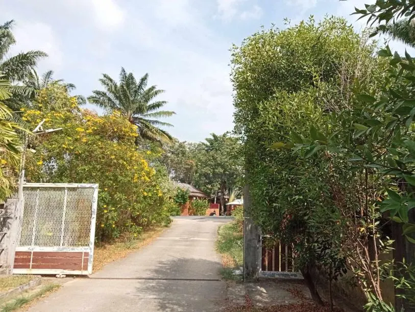 Tropical 2 bedroom house for rent in Pasak 4