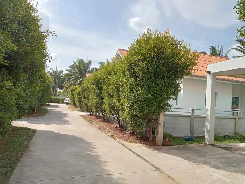 Tropical 2 bedroom house for rent in Pasak 2