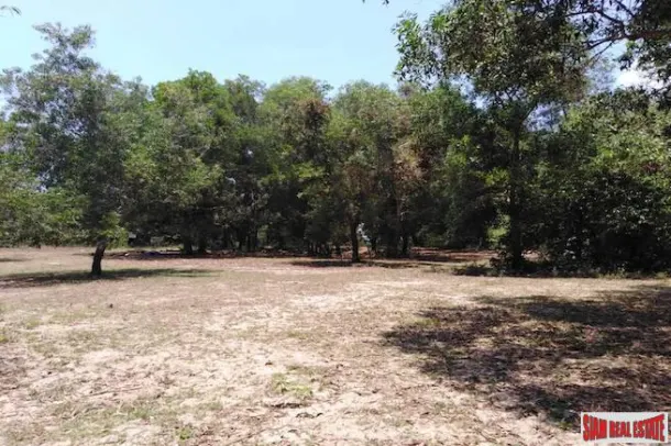 Beautiful Land Plot with Large Tropical Trees and a Private Lake in Phang Nga 4