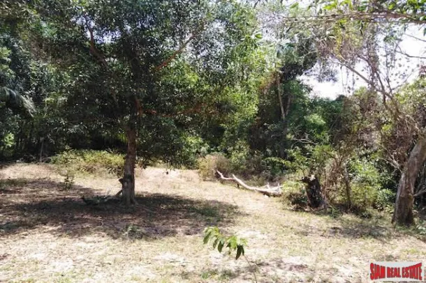 Beautiful Land Plot with Large Tropical Trees and a Private Lake in Phang Nga 3