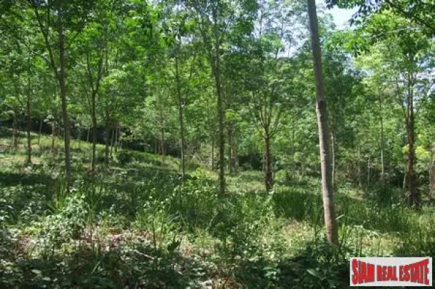 3 Rai Mountain Land With Partly Sea View 2