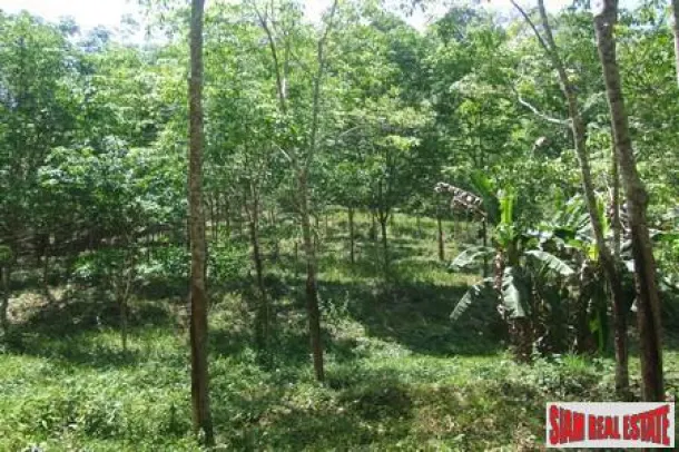 3 Rai Mountain Land With Partly Sea View 4