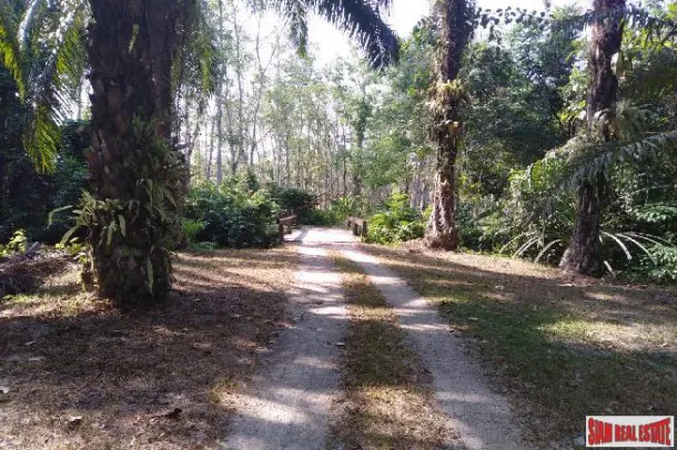 Land for sale in Phang Nga — Land · Phang Nga