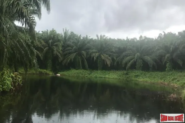 Land for sale in Phang Nga — Land · Phang Nga