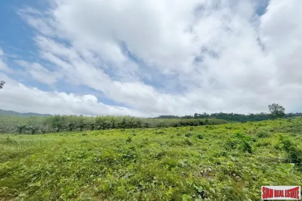 A large plot of 101 rai with clear water stream and mountain view for sale in Khuekkhak, Phangnga 2