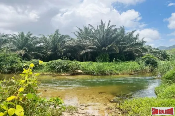A large plot of 101 rai with clear water stream and mountain view for sale in Khuekkhak, Phangnga 4