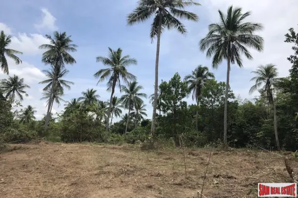 Large Land Plot near the Beach with Some Sea Views in Phang Nga 3