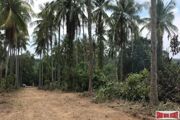 Land for sale in Phang Nga — Land · Phang Nga