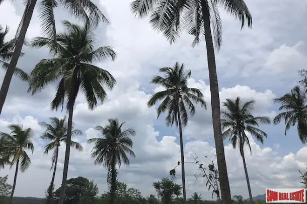 Large Land Plot near the Beach with Some Sea Views in Phang Nga 4