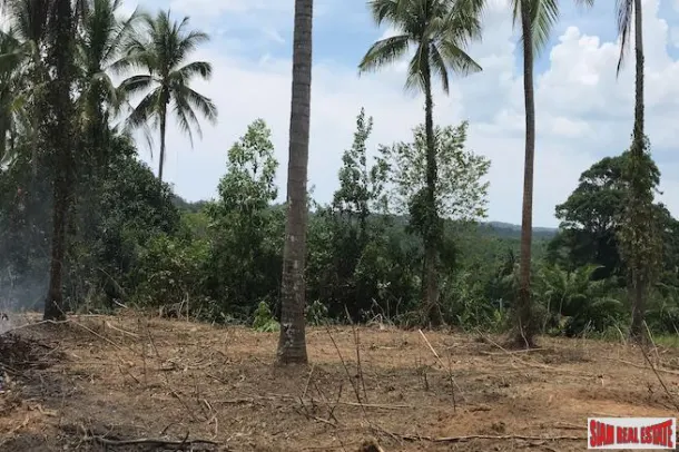 Large Land Plot near the Beach with Some Sea Views in Phang Nga 2