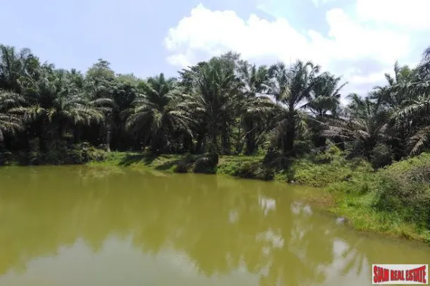 Land for sale in Khao Lak (Takua Pa district) — Land · Khao Lak (Takua Pa district)