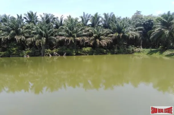 Large Land Plot with Lake and Palm Plantation North of Khao Lak 4